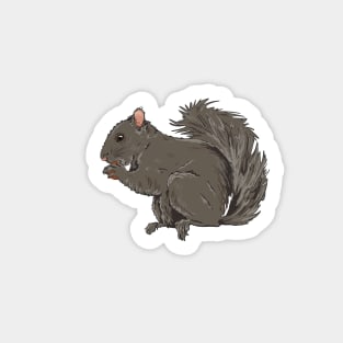 Cyril Squirrel Sticker